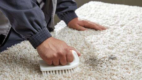Professional Rug Cleaning Cocoroc